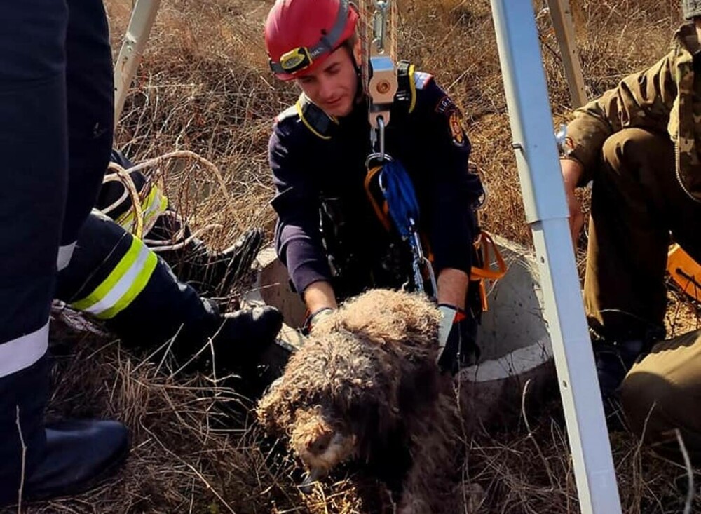 VIDEO Momentul în care un cățel căzut într-un puț adânc de 12 metri este salvat de pompierii militari - Imaginea 1
