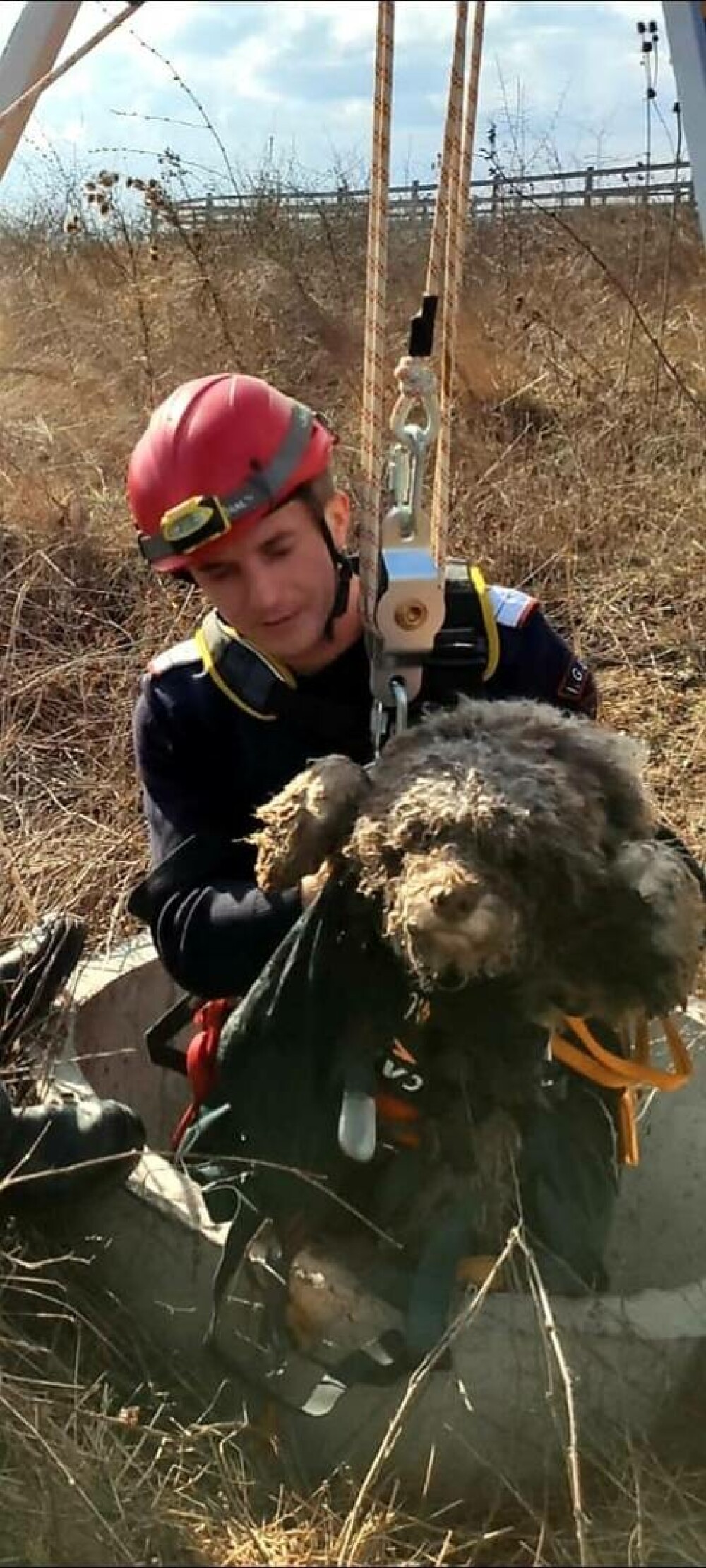 VIDEO Momentul în care un cățel căzut într-un puț adânc de 12 metri este salvat de pompierii militari - Imaginea 8