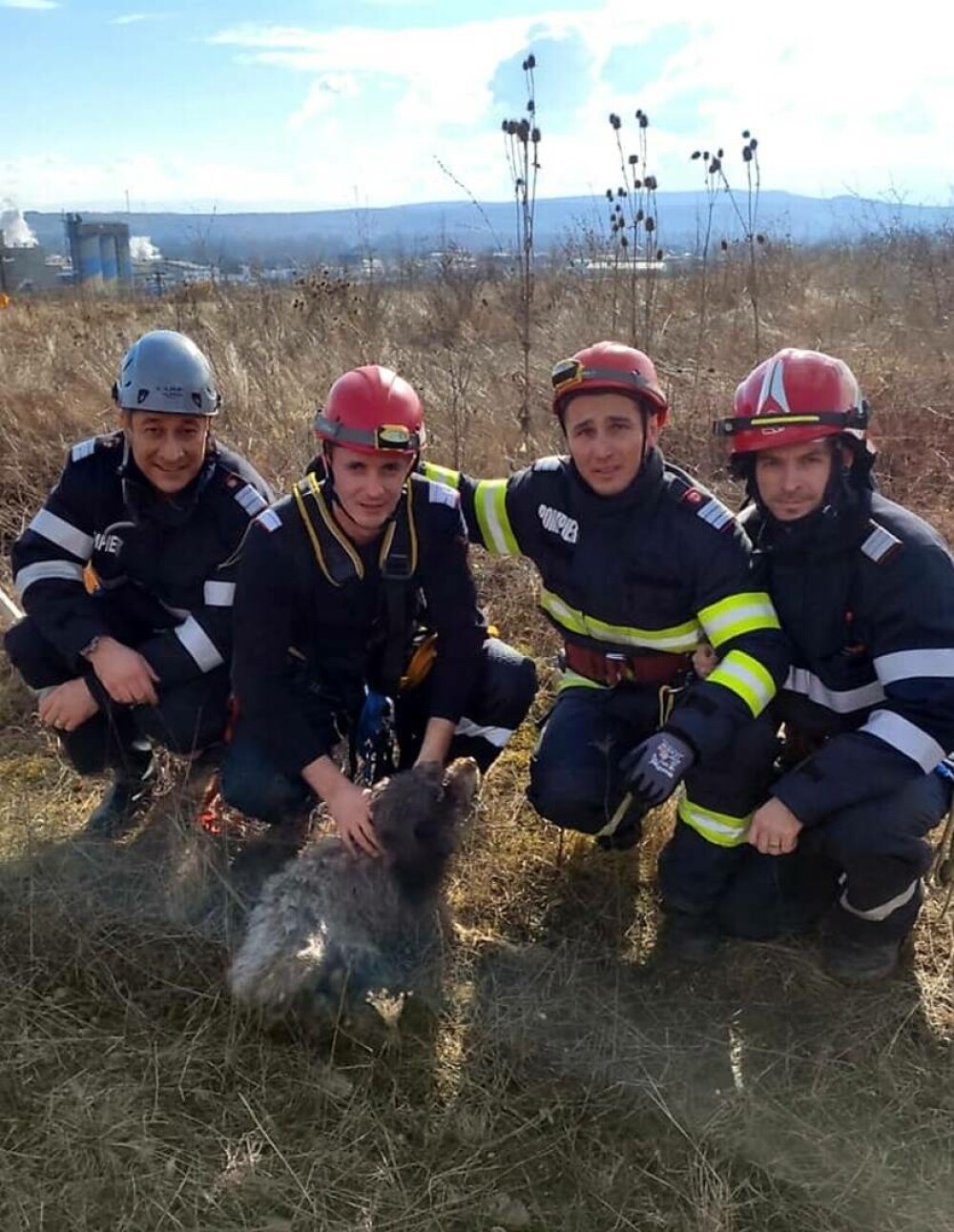 VIDEO Momentul în care un cățel căzut într-un puț adânc de 12 metri este salvat de pompierii militari - Imaginea 7