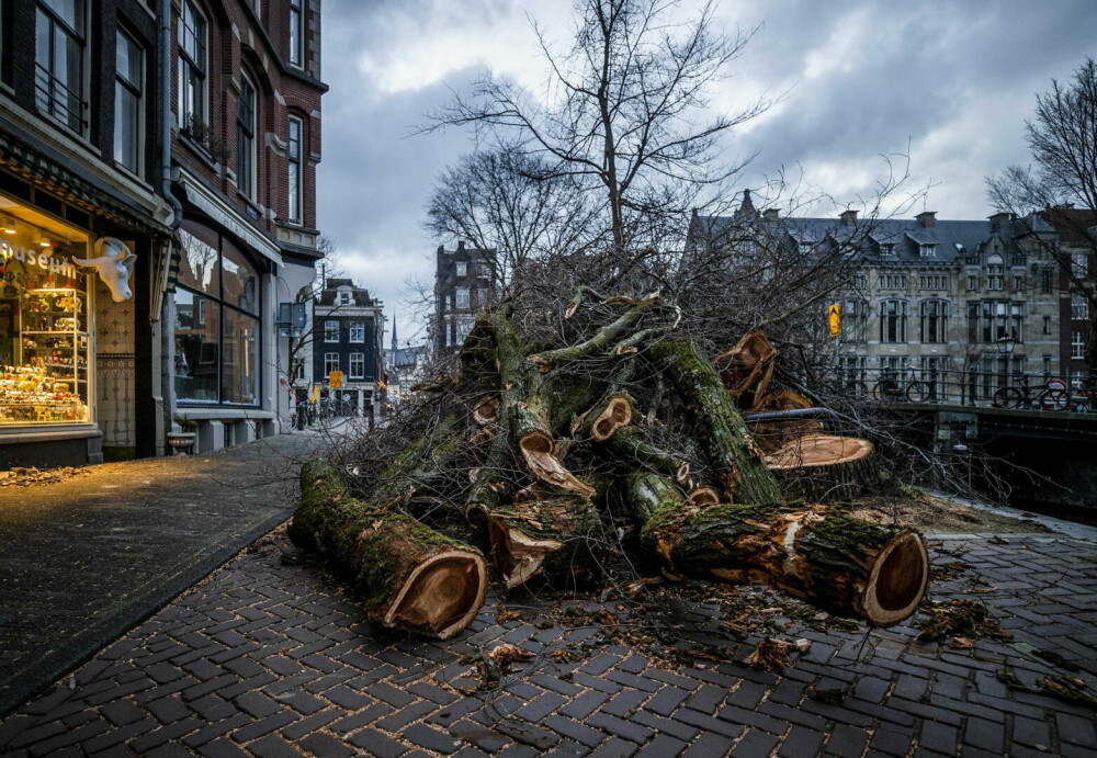 Furtuna Eunice a făcut ravagii în Olanda, Marea Britanie și Belgia. 13 oameni au murit - Imaginea 1