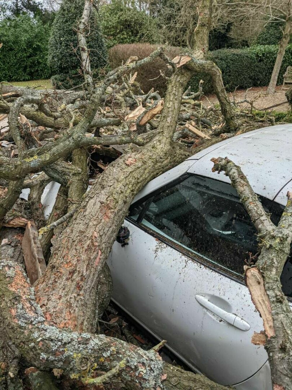 Furtuna Eunice a făcut ravagii în Olanda, Marea Britanie și Belgia. 13 oameni au murit - Imaginea 2