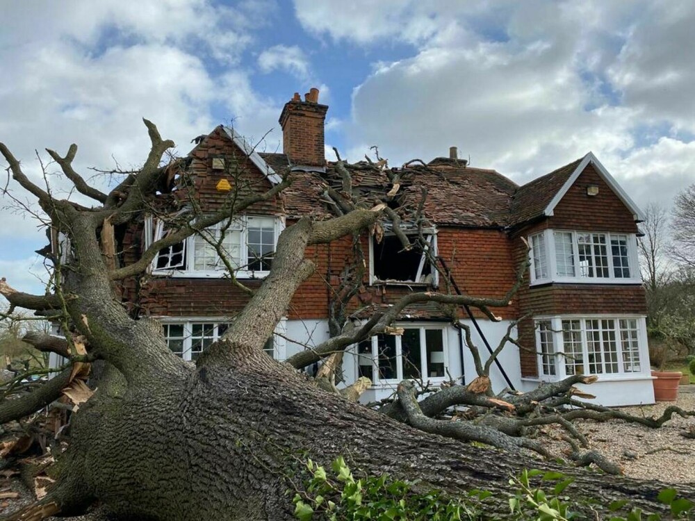 Furtuna Eunice a făcut ravagii în Olanda, Marea Britanie și Belgia. 13 oameni au murit - Imaginea 7