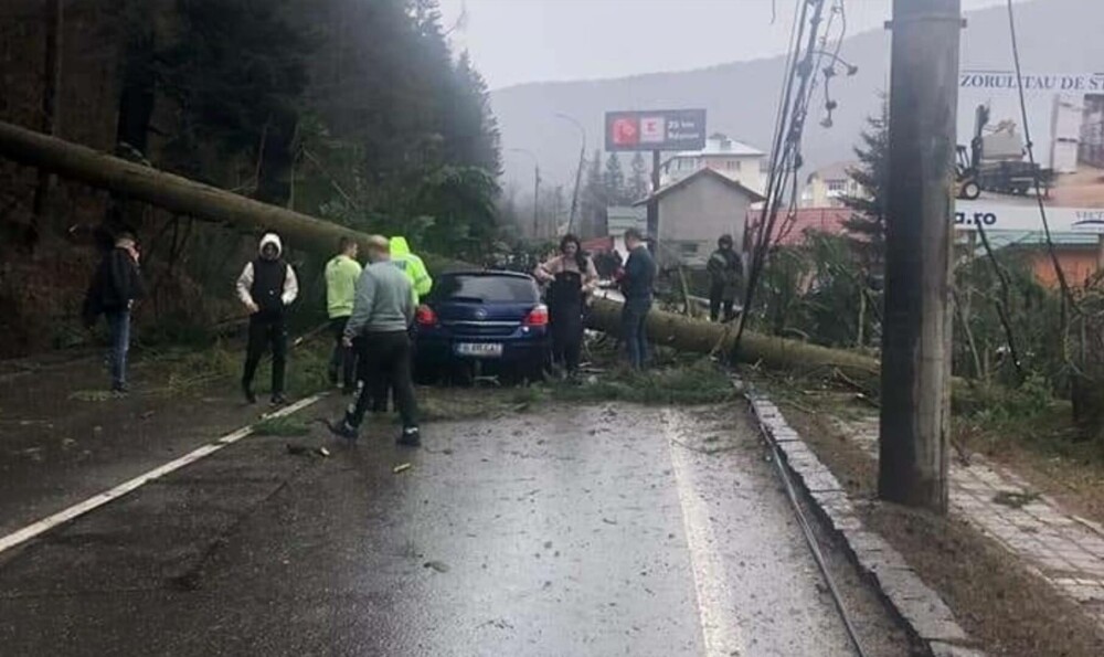 Un brad a căzut peste o mașină pe DN 1, la Azuga. Cum arată mașina după incident. GALERIE FOTO - Imaginea 1