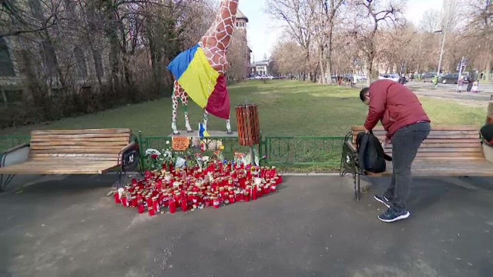 Mihai Șora a fost înmormântat la cimitirul Bellu cu onoruri militare. GALERIE FOTO - Imaginea 5