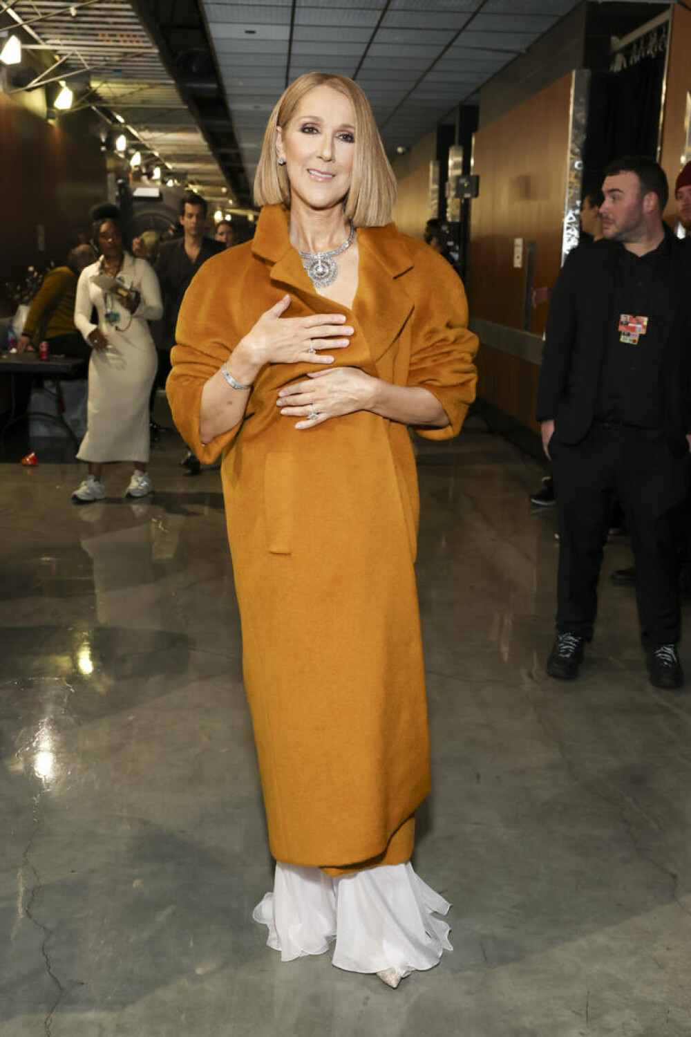 Celine Dion, prima apariţie publică din ultimele trei luni, la gala Premiilor Grammy. Ce ținută a purtat | GALERIE FOTO - Imaginea 6