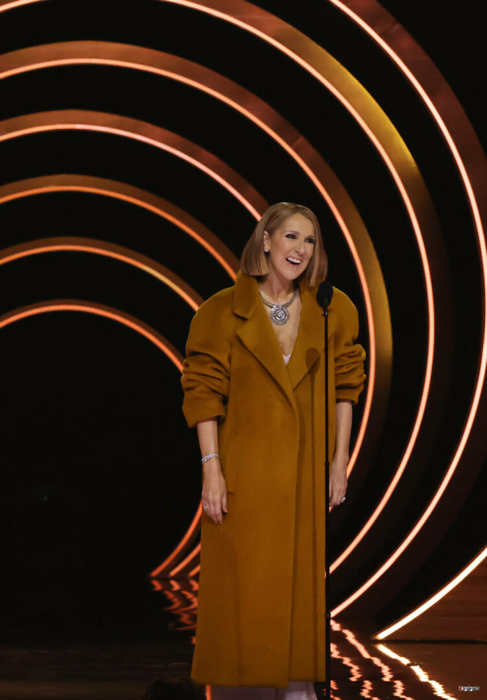Celine Dion, prima apariţie publică din ultimele trei luni, la gala Premiilor Grammy. Ce ținută a purtat | GALERIE FOTO - Imaginea 9