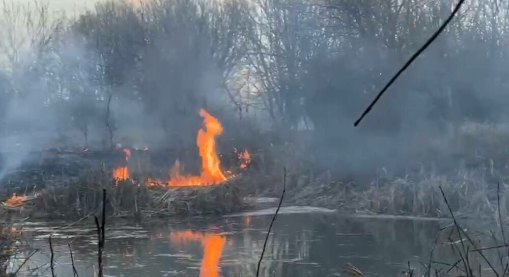 VIDEO. Încă un incendiu de proporții în Parcul Natural Văcărești. S-a emis RO-Alert și se intervine în forță cu autospeciale - Imaginea 1