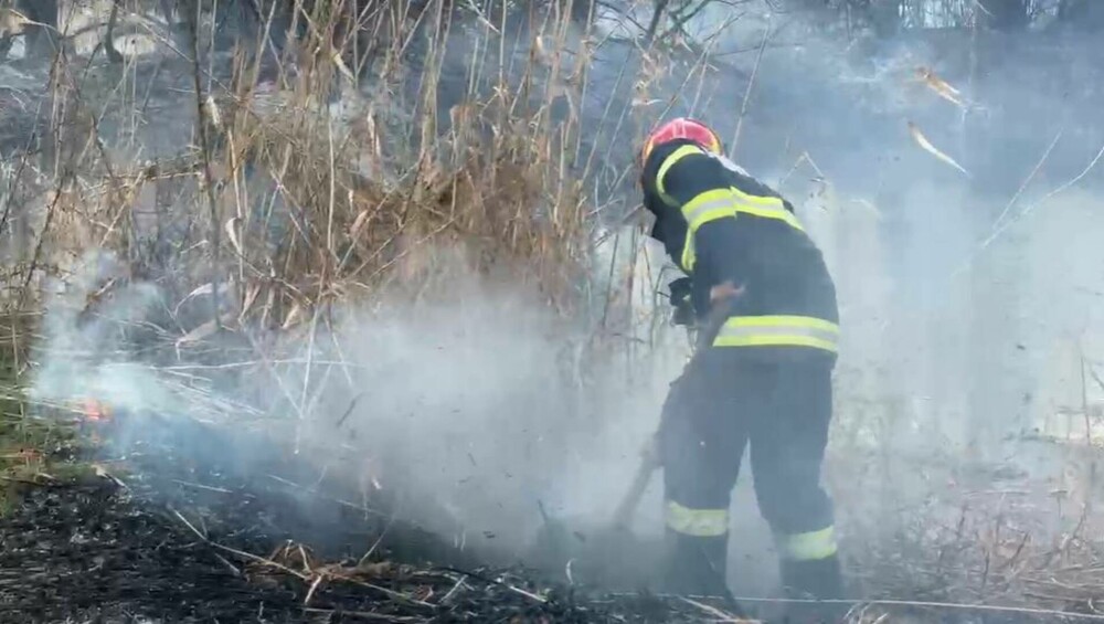 VIDEO. Încă un incendiu de proporții în Parcul Natural Văcărești. S-a emis RO-Alert și se intervine în forță cu autospeciale - Imaginea 2
