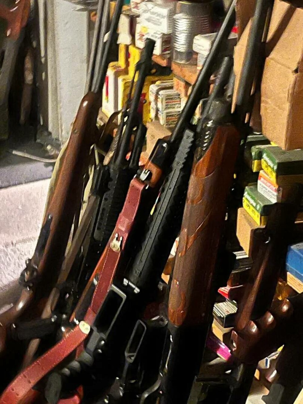 Un bărbat din California a fost prins cu un milion de cartușe și 248 de arme deținute ilegal în casa sa - Imaginea 2