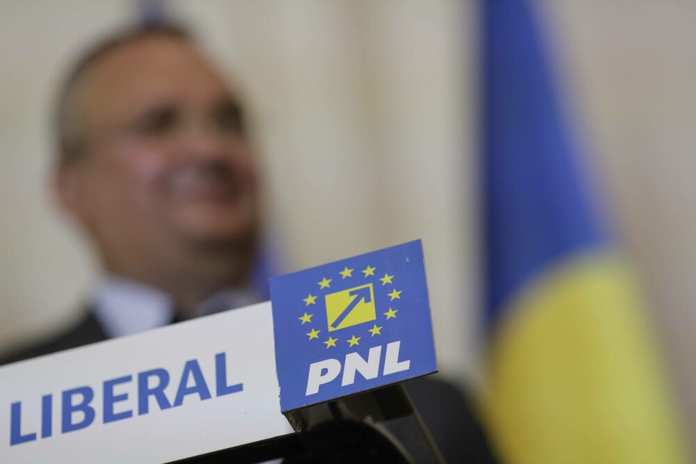 PSD și PNL au decis comasarea alegerilor: Europarlamentarele şi localele, în iunie. Prezidențialele, mutate mai devreme - Imaginea 2