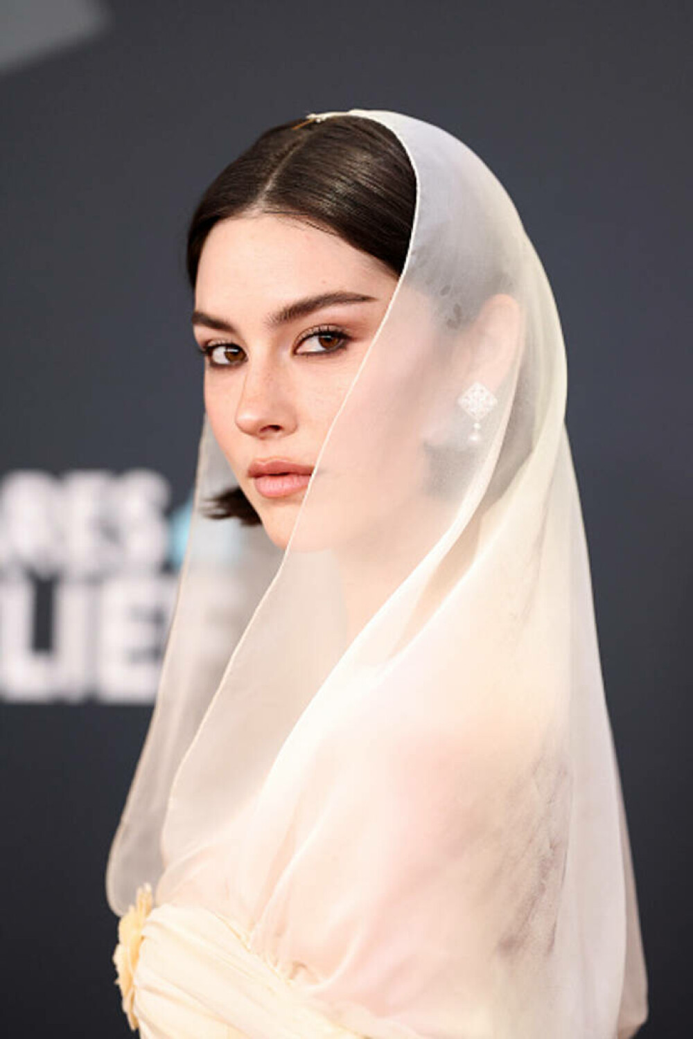 Cele mai neinspirate ținute purtate de vedete la Premiile Grammy. Artiștii care au dezamăgit pe covorul roșu. GALERIE FOTO - Imaginea 62