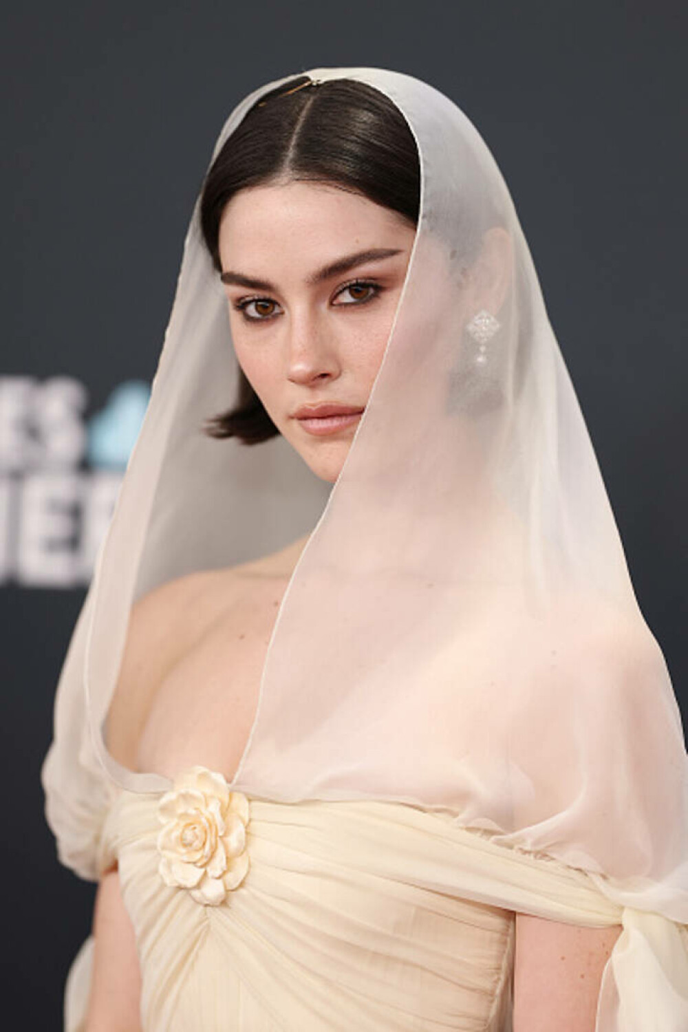 Cele mai neinspirate ținute purtate de vedete la Premiile Grammy. Artiștii care au dezamăgit pe covorul roșu. GALERIE FOTO - Imaginea 66
