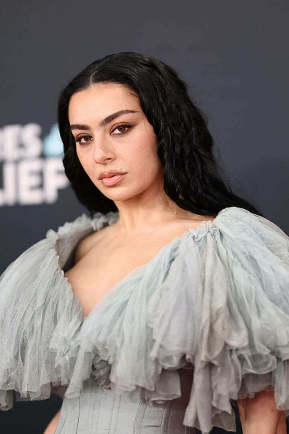 Cele mai neinspirate ținute purtate de vedete la Premiile Grammy. Artiștii care au dezamăgit pe covorul roșu. GALERIE FOTO - Imaginea 77