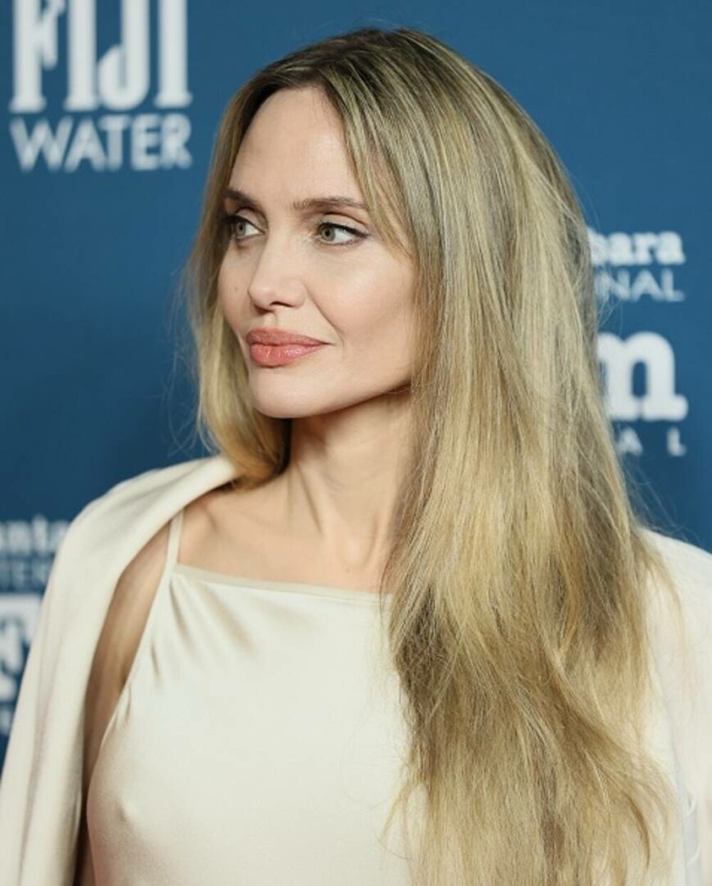 Angelina Jolie, apariție plină de eleganță la Festivalul Internațional de Film de la Santa Barbara. GALERIE FOTO - Imaginea 25