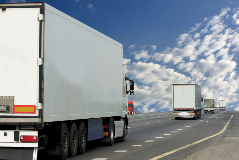 Vameșii francezi au oprit un camion la întâmplare pentru un control de rutină și au făcut o descoperire neașteptată - Imaginea 1