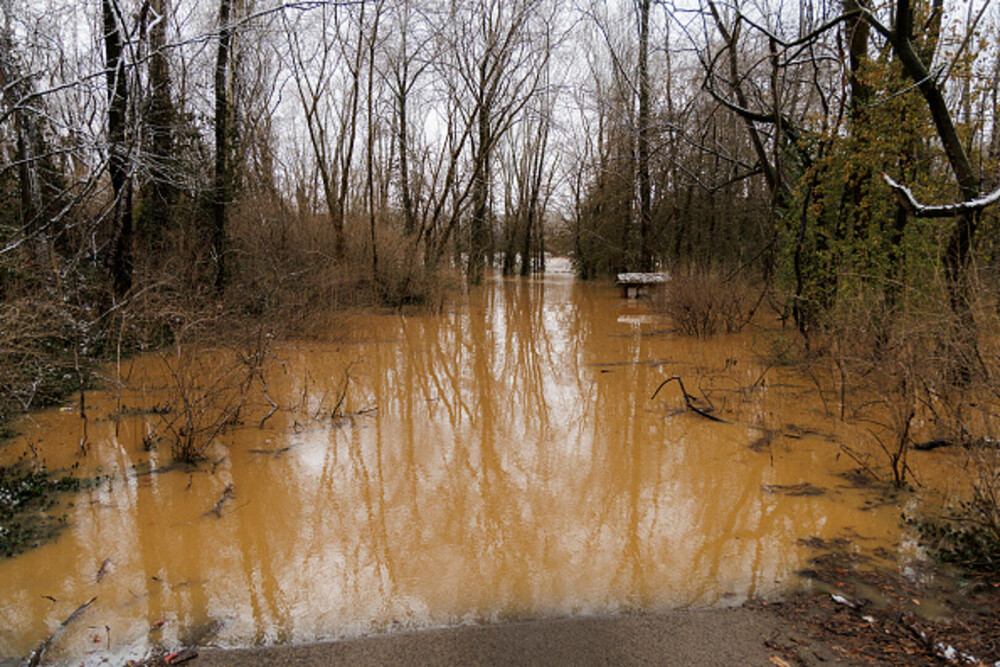 Un copil și alte opt persoane au murit în urma inundaţiilor violente din SUA. Trump a declarat stare de urgenţă. FOTO & VIDEO - Imaginea 1