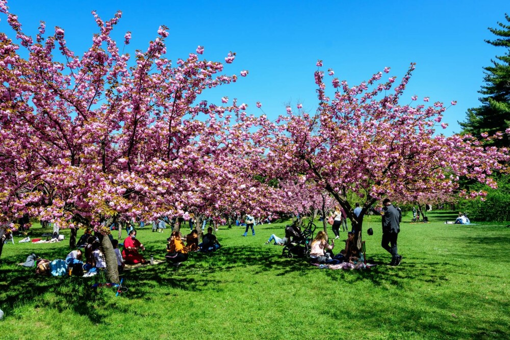 București - ce să vizitezi, ce să mănânci și ce să nu ratezi ca turist în capitala României. Totul despre Micul Paris - Imaginea 8