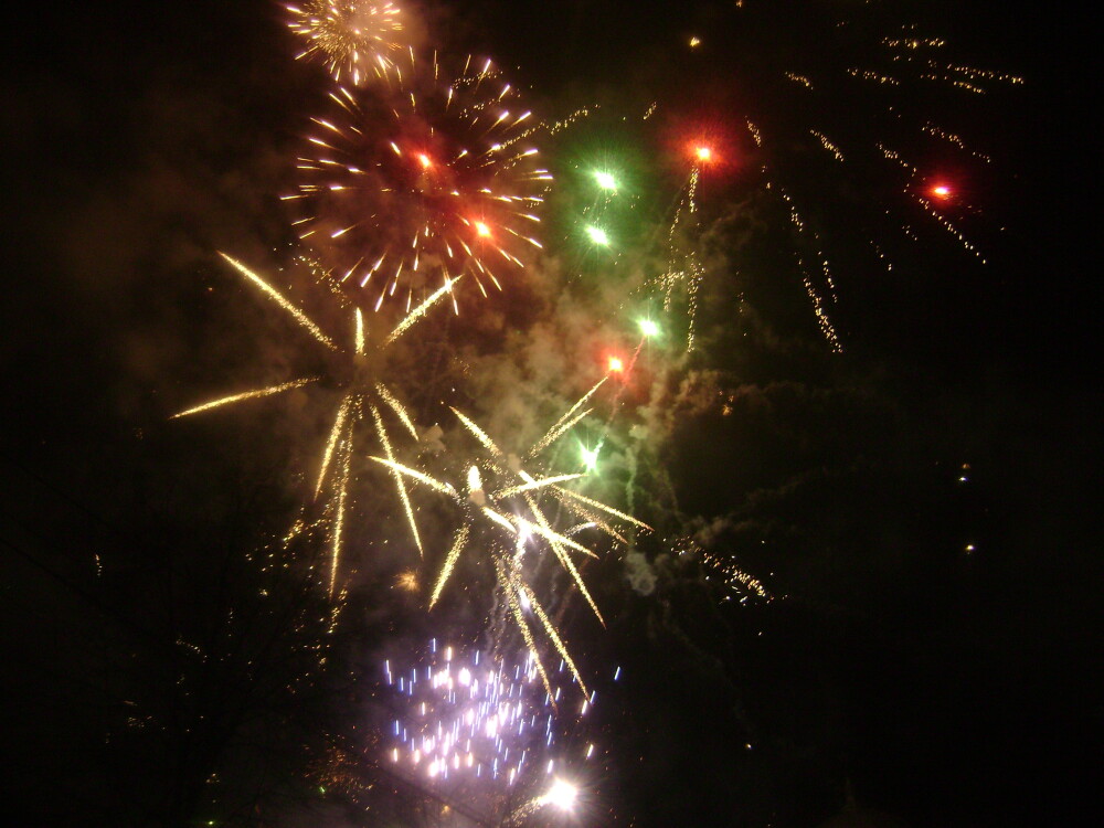 Oradea a intampinat anul 2009 scaldata in lumina artificiilor - Imaginea 1