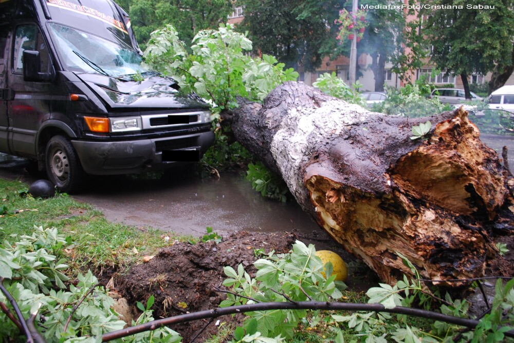 Furtunile din sudul tarii au facut ravagii: copaci cazuti, localitati fara curent, iar un om a murit - Imaginea 1