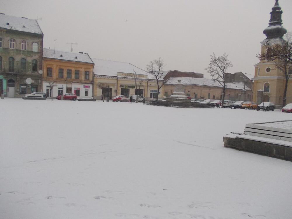 Timisoara, acoperita din nou de zapada. Vezi aici ce temperaturi ne asteapta in zilele urmatoare - Imaginea 3