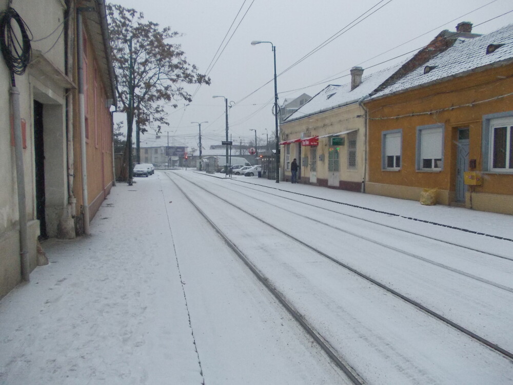 Timisoara, acoperita din nou de zapada. Vezi aici ce temperaturi ne asteapta in zilele urmatoare - Imaginea 4