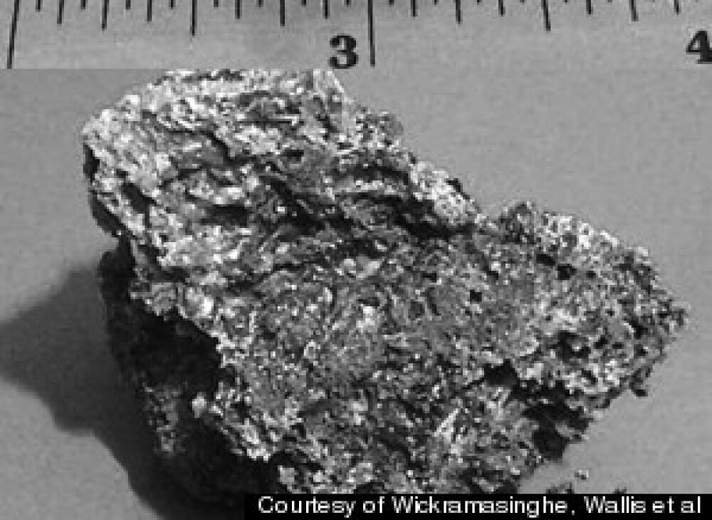 Un cercetator britanic sustine ca a gasit viata extraterestra pe un meteorit cazut in Sri Lanka - Imaginea 3