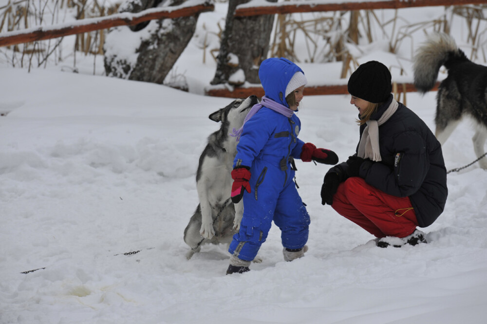 Alaska a ajuns in Romania. Un sport de iarna celebru in tarile nordice prinde teren in tara noastra - Imaginea 18