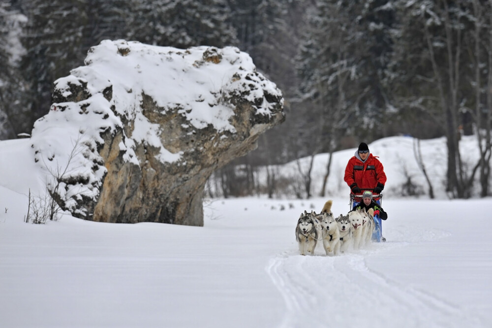 Alaska a ajuns in Romania. Un sport de iarna celebru in tarile nordice prinde teren in tara noastra - Imaginea 19