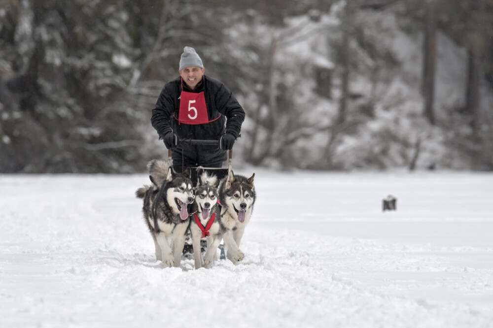 Alaska a ajuns in Romania. Un sport de iarna celebru in tarile nordice prinde teren in tara noastra - Imaginea 24