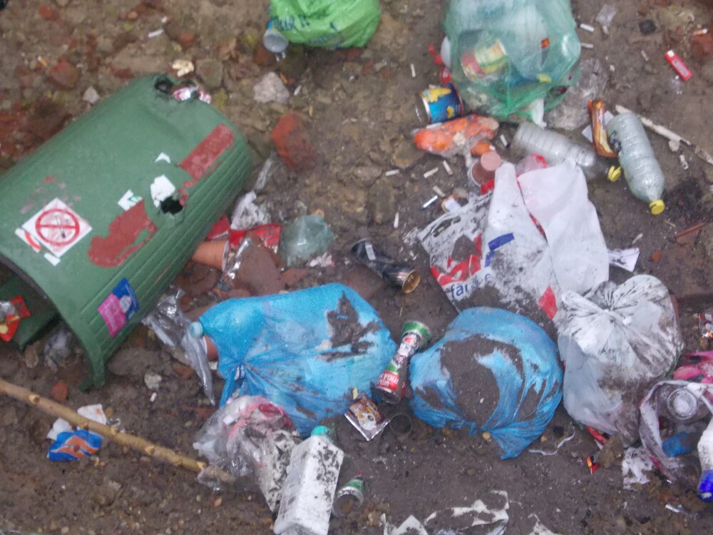 Groapa de gunoi, in locul unei locuinte prabusite in urma cu un an, in cartierul Fabric. FOTO - Imaginea 2