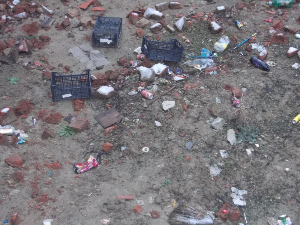 Groapa de gunoi, in locul unei locuinte prabusite in urma cu un an, in cartierul Fabric. FOTO - Imaginea 4