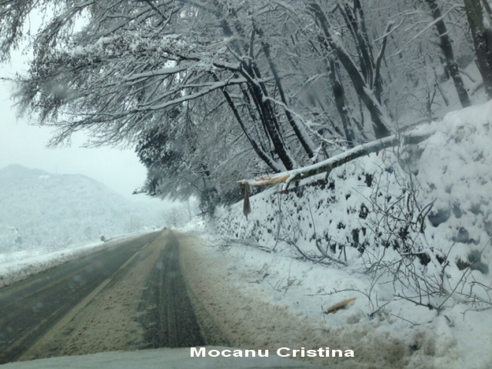 Romania sub zapada. Furia naturii, surprinsa in fotografiile trimise de utilizatorii Stirile ProTV din toata tara - Imaginea 12