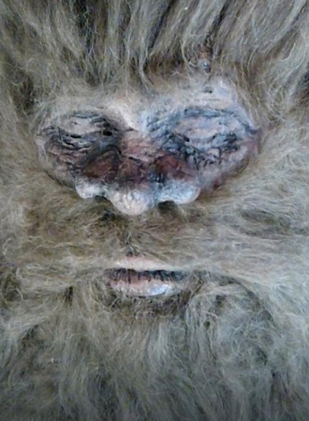 Bigfoot sau un costum de cauciuc? Un barbat incearca sa dovedeasca ca a ucis creatura legendara cu noi fotografii - Imaginea 4