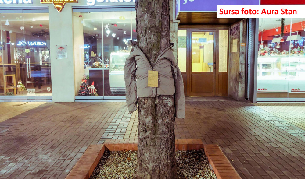 De ce au ajuns copacii din orasele Bulgariei sa fie imbracati cu haine de iarna. 