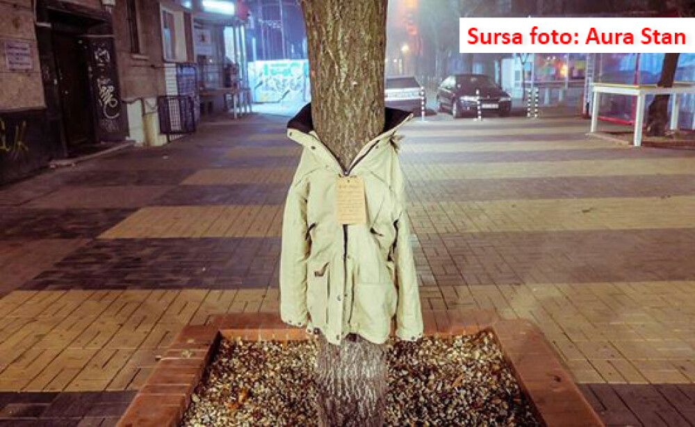 De ce au ajuns copacii din orasele Bulgariei sa fie imbracati cu haine de iarna. 