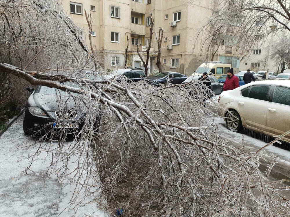 Scene ”apocaliptice” cu sute de copaci căzuți din cauza ploii înghețate. GALERIE FOTO - Imaginea 24