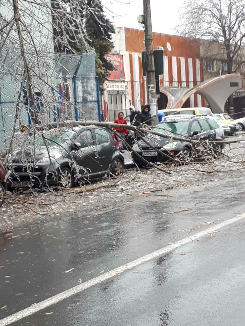 Scene ”apocaliptice” cu sute de copaci căzuți din cauza ploii înghețate. GALERIE FOTO - Imaginea 20