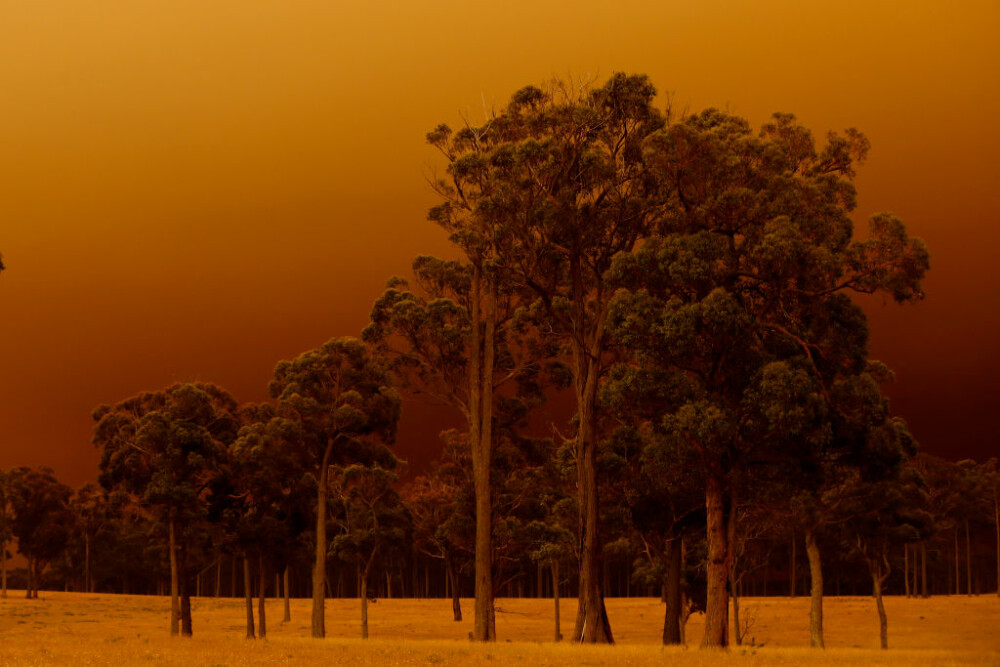 Incendii catastrofale în Australia. 3.000 de militari rezerviști au fost mobilizați - Imaginea 2