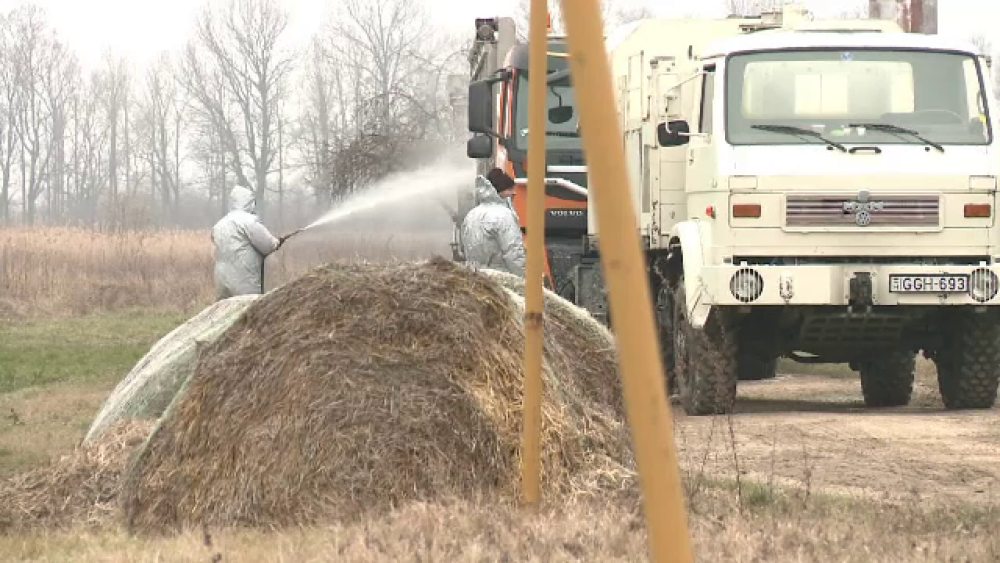 Focarele de gripă aviară s-au extins în 24 de localități. Autoritățile sunt în alertă - Imaginea 1