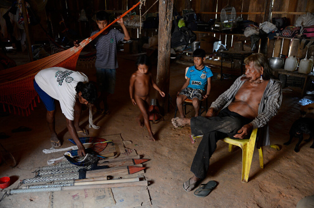 Indigenii amazonieni folosesc o fiertură din coaja unei liane pentru a se apăra de Covid-19 - Imaginea 13