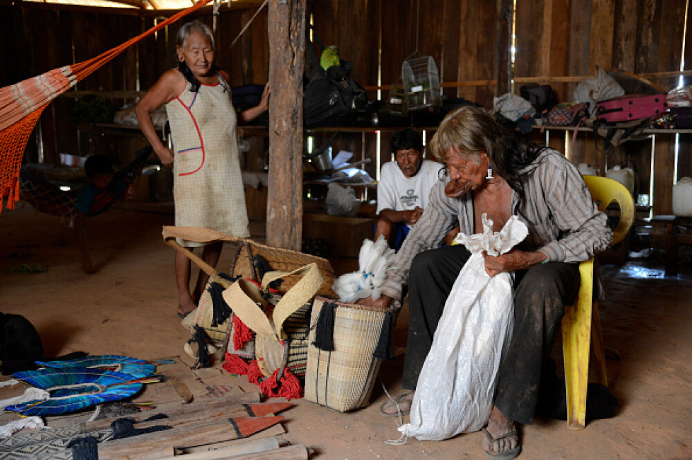 Indigenii amazonieni folosesc o fiertură din coaja unei liane pentru a se apăra de Covid-19 - Imaginea 11