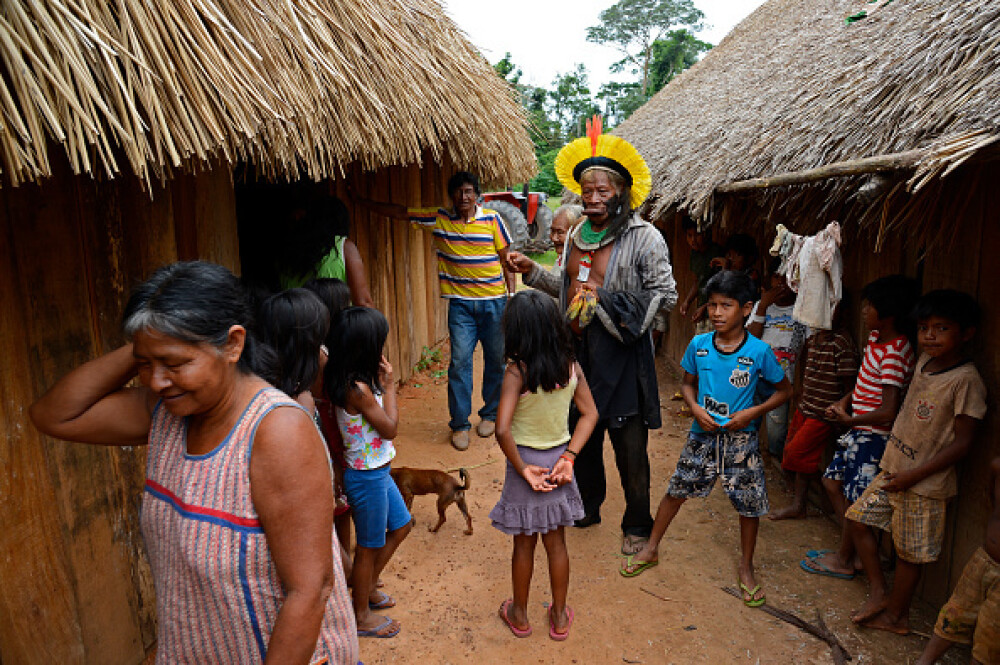Indigenii amazonieni folosesc o fiertură din coaja unei liane pentru a se apăra de Covid-19 - Imaginea 8
