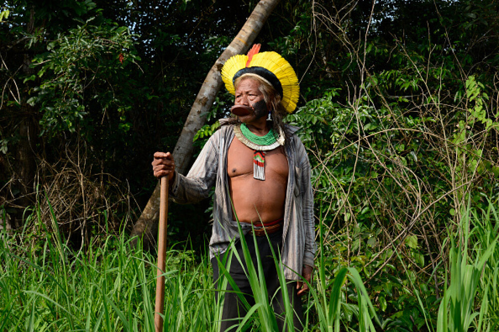 Indigenii amazonieni folosesc o fiertură din coaja unei liane pentru a se apăra de Covid-19 - Imaginea 7