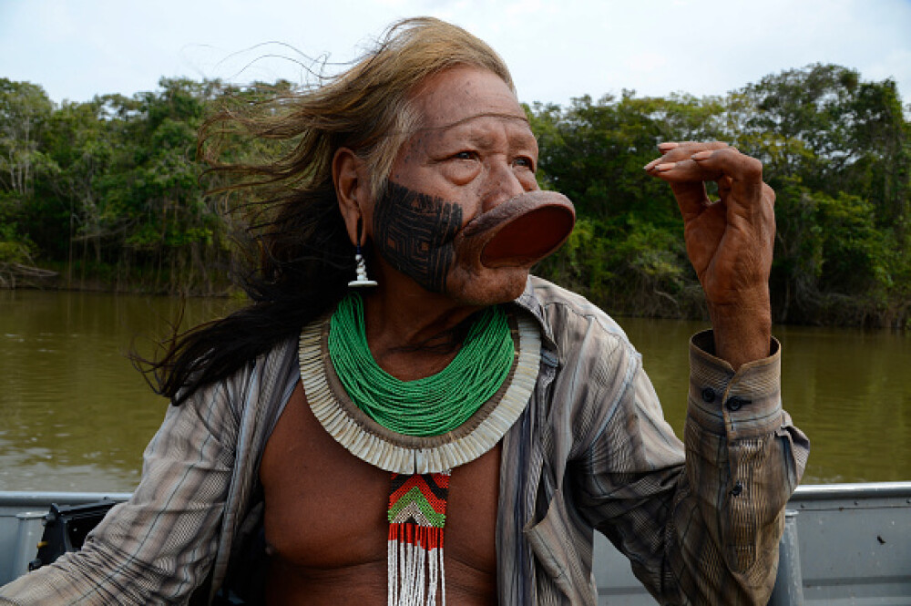 Indigenii amazonieni folosesc o fiertură din coaja unei liane pentru a se apăra de Covid-19 - Imaginea 4