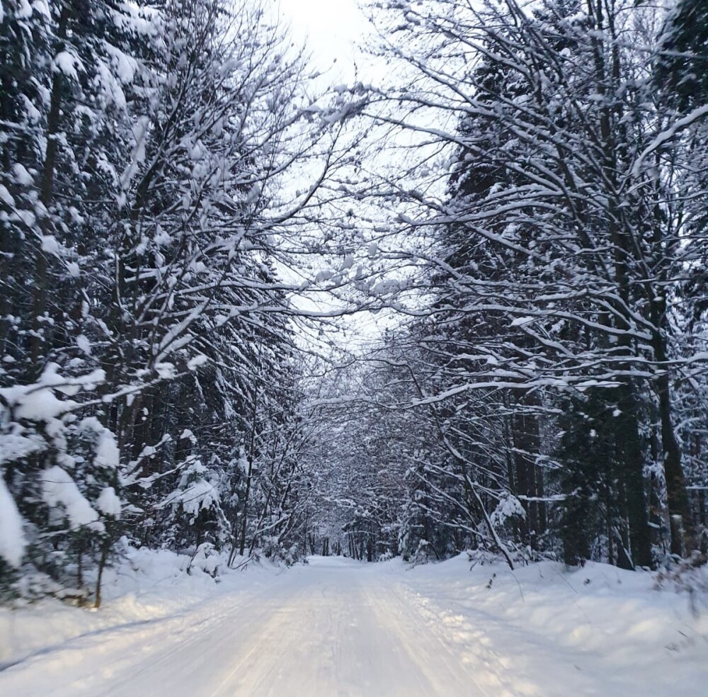 Iarnă de vis în Țara Făgărașului. Peisaje de basm, liniște și senin la poalele munților Făgăraș - Imaginea 2