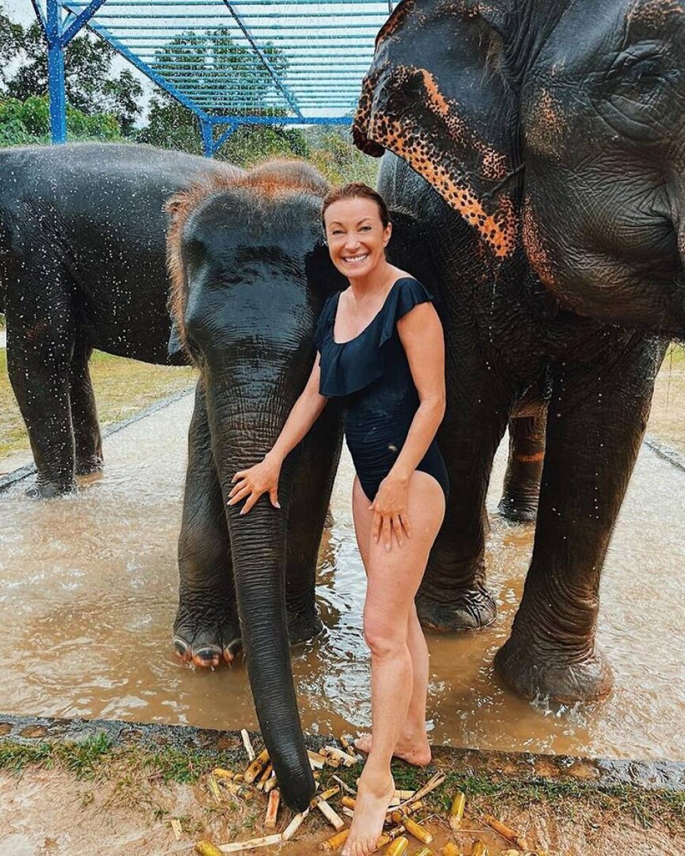 Actrița Jane Seymour (70 de ani), în vacanță în Thailanda. A vizitat un sanctuar de elefanți și a fost impresionată - Imaginea 4