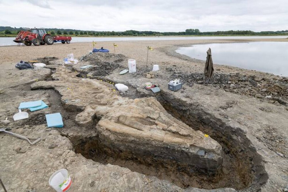 Arheologii din Marea Britanie au făcut o descoperire istorică: un „dragon de mare” cu o lungime de 30 de metri - Imaginea 2