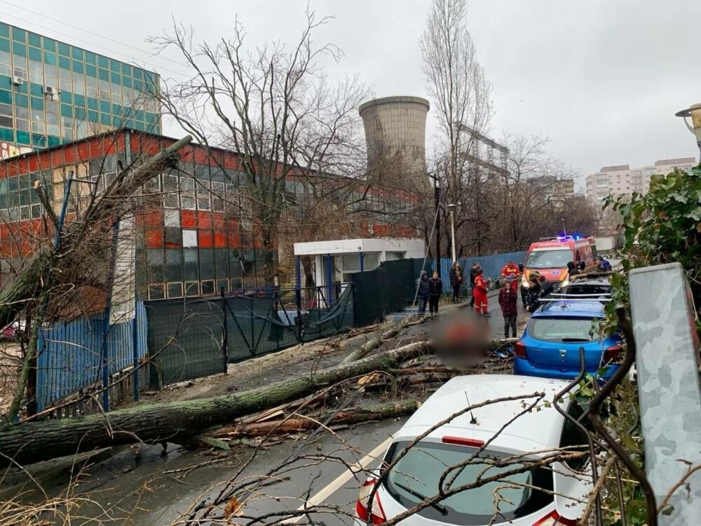 Un copac a căzut peste o tânără în București. GALERIE FOTO - Imaginea 1