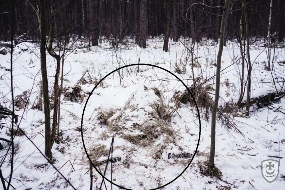 “Găsește lunetistul!” Provocarea lansată de Armata Ucrainei. GALERIE FOTO - Imaginea 4