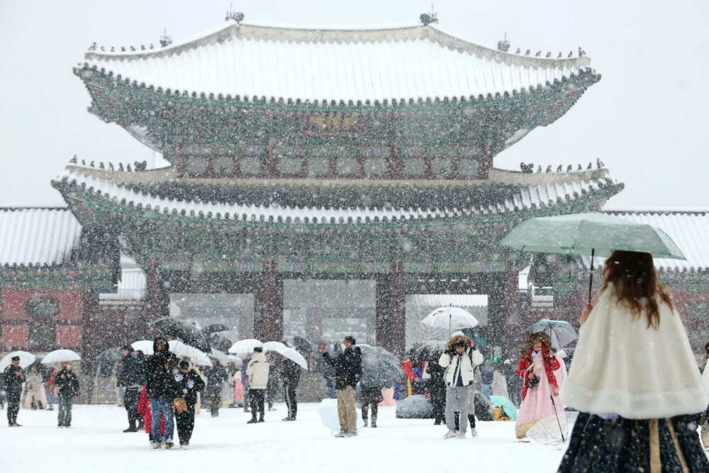 FOTO. În timp ce în România este vreme de primăvară, în Coreea de Sud a căzut cea mai grea ninsoare din ultimii 40 de ani - Imaginea 1